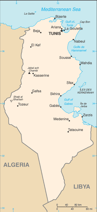 Schematic map of Tunisia