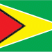 Flag of Guyana